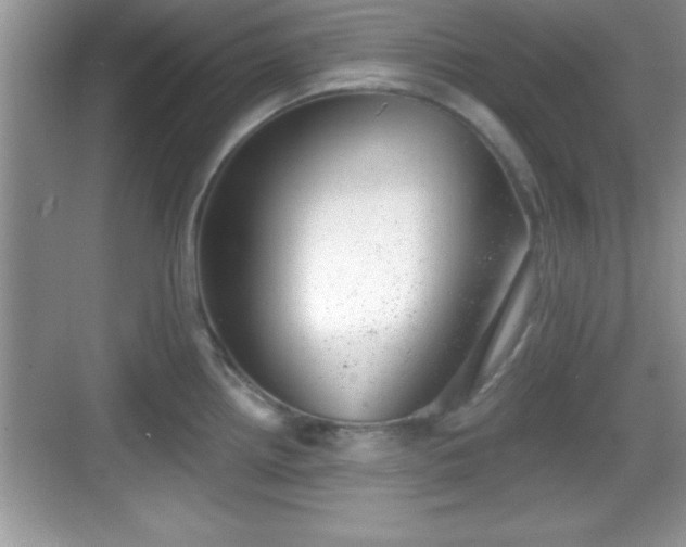 X0000068851242200605121401