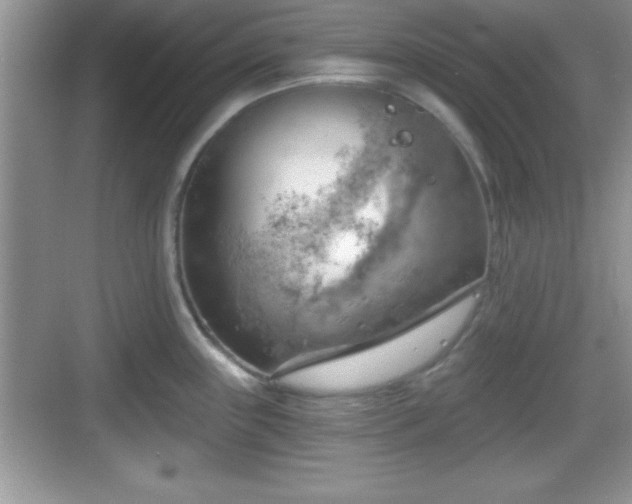 X0000068851243200605121401