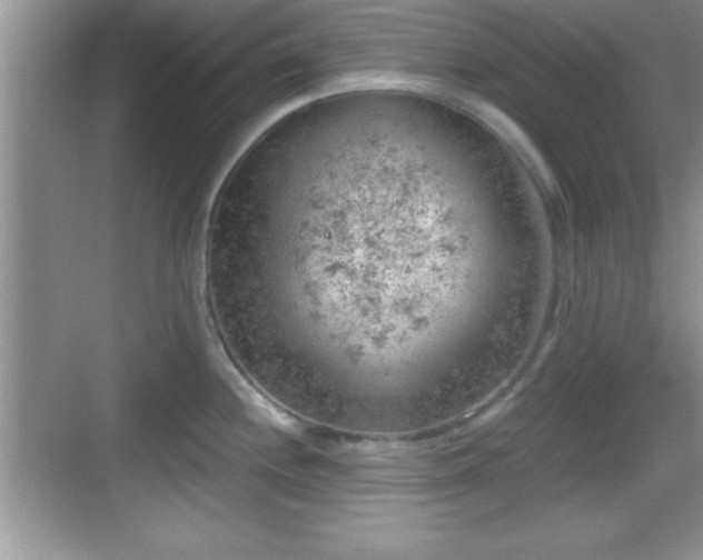 X0000068851244200605121401