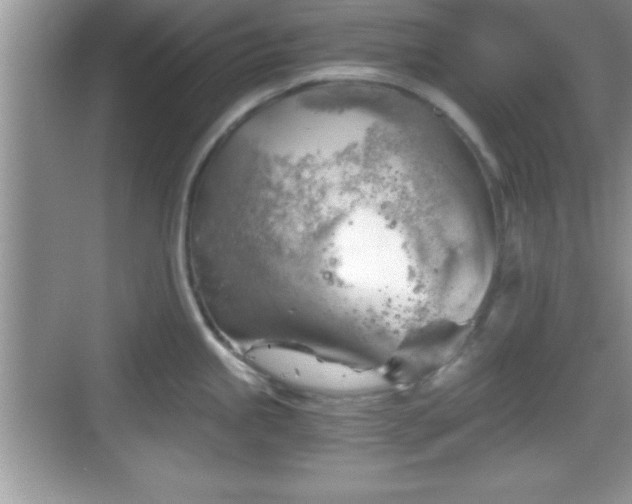 X0000068851245200605121401