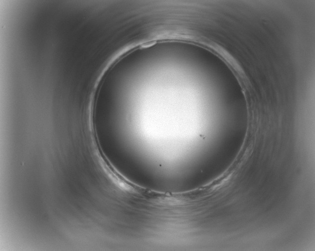 X0000068851246200605121401