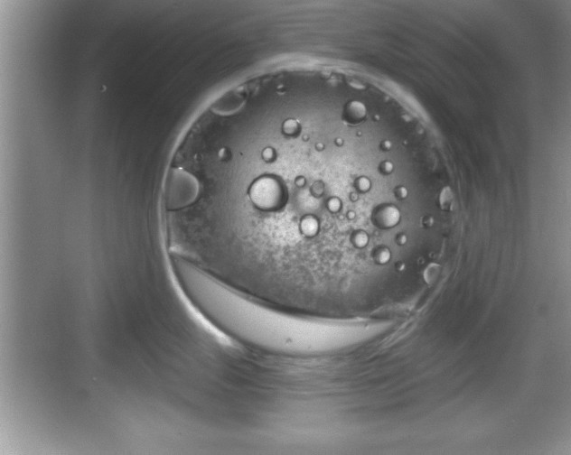 X0000068851247200605121401