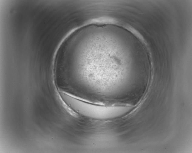 X0000068851248200605121401