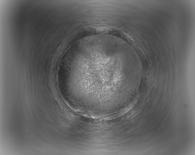 X0000068851249200605121400