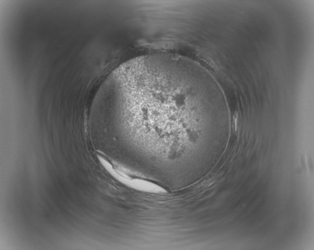 X0000068851251200605121400