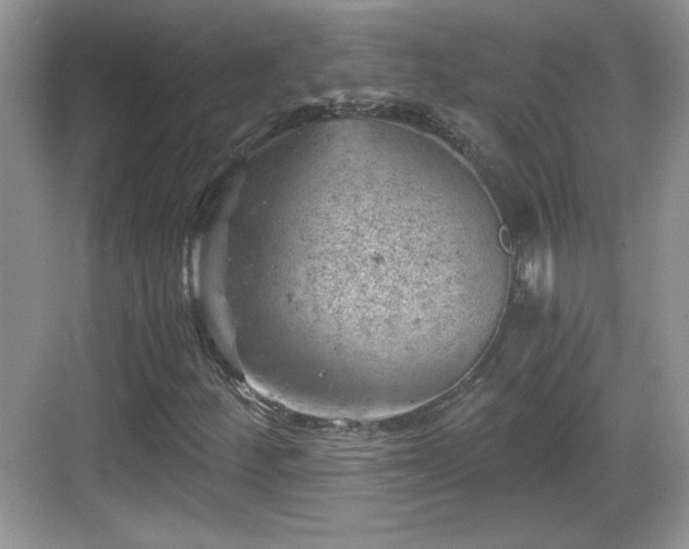 X0000068851252200605121400