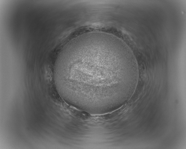 X0000068851253200605121400