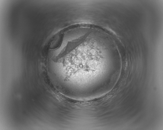 X0000068851255200605121400