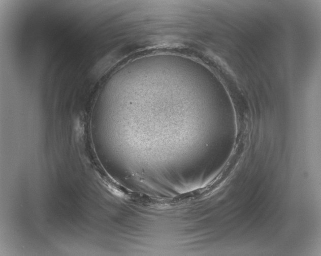 X0000068851257200605121400