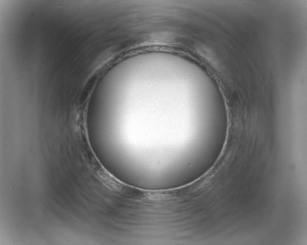 X0000068851258200605121400