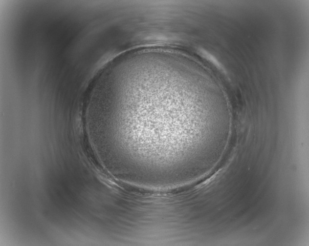 X0000068851259200605121400