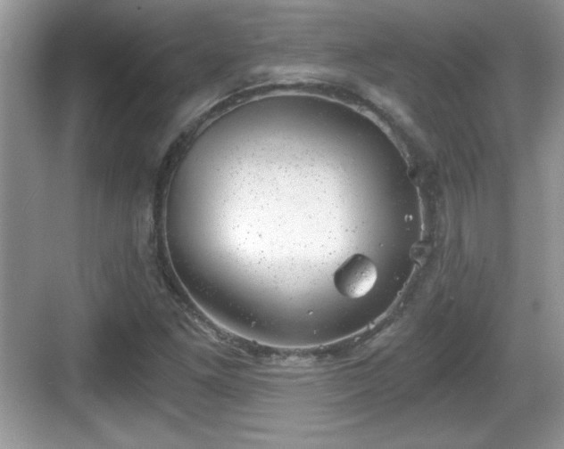 X0000068851261200605121400