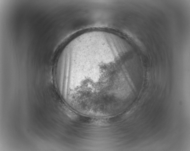 X0000068851262200605121400