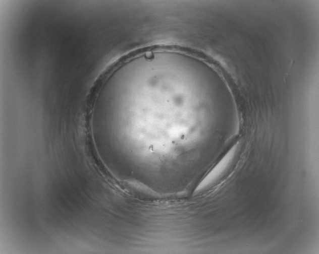 X0000068851263200605121400