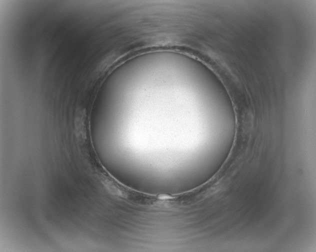 X0000068851265200605121400