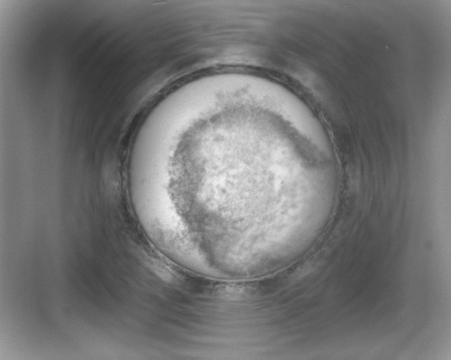 X0000068851266200605121400