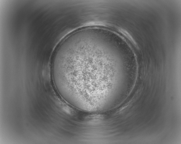 X0000068851268200605121400