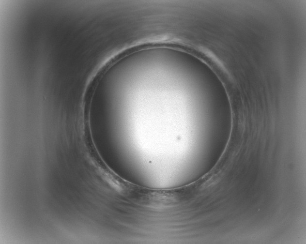 X0000068851270200605121400