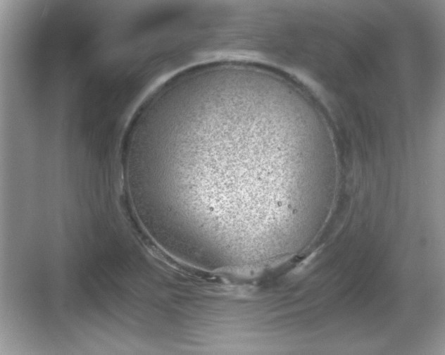 X0000068851271200605121400