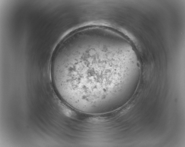 X0000068851272200605121400