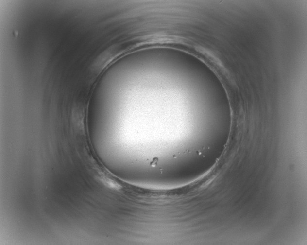 X0000068851273200605121400