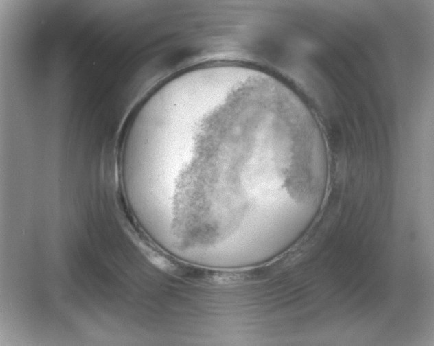 X0000068851274200605121400