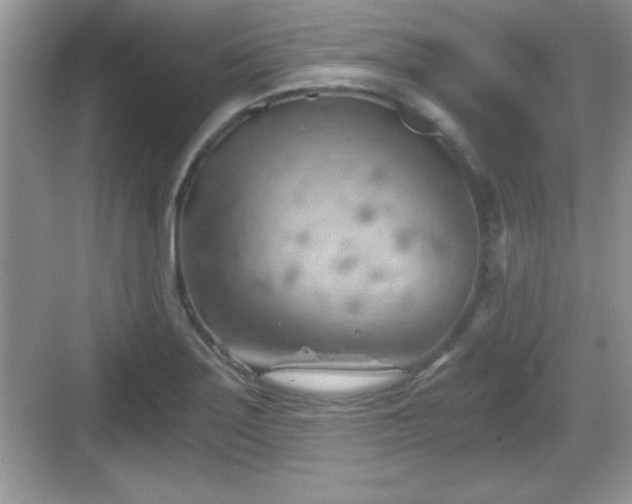 X0000068851275200605121400