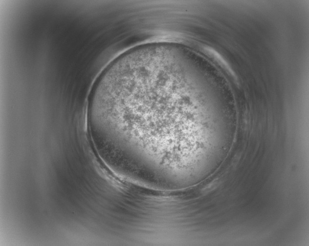 X0000068851276200605121400