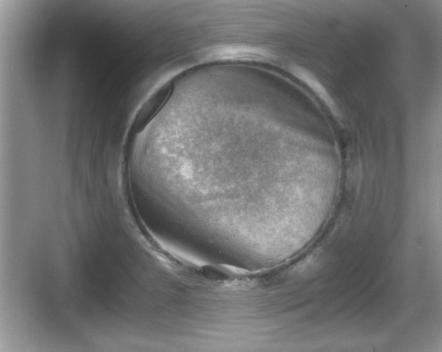 X0000068851277200605121400