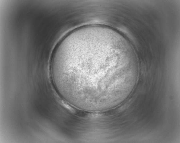 X0000068851278200605121400