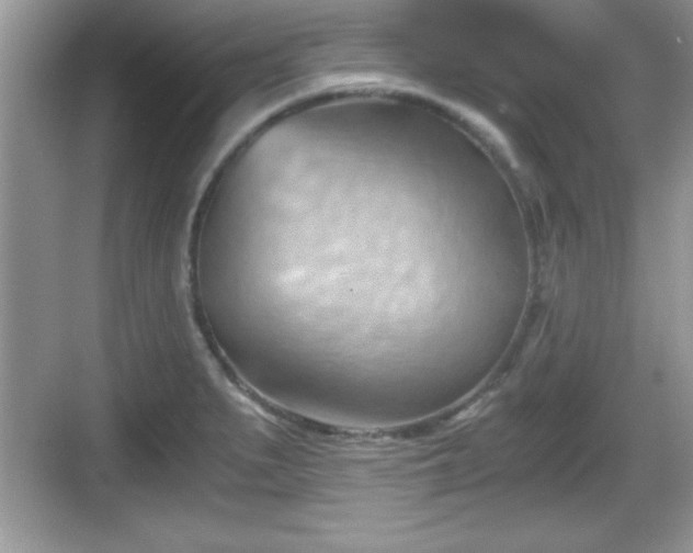 X0000068851279200605121400