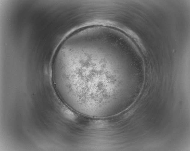 X0000068851280200605121400