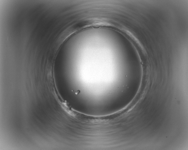 X0000068851281200605121400