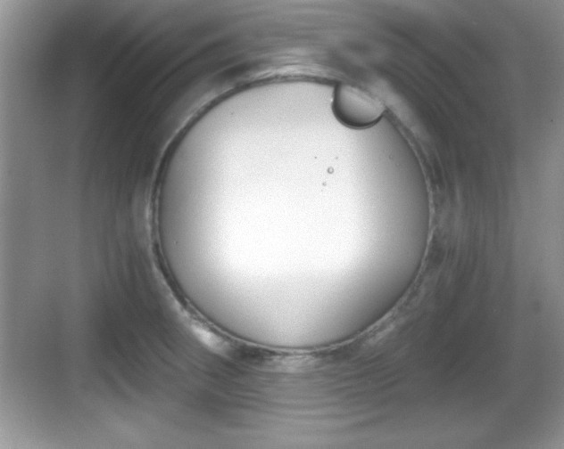 X0000068851282200605121400