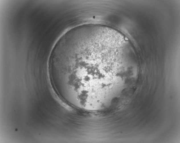 X0000068851283200605121400