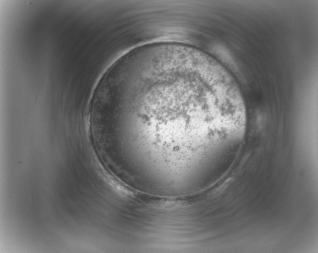 X0000068851284200605121400