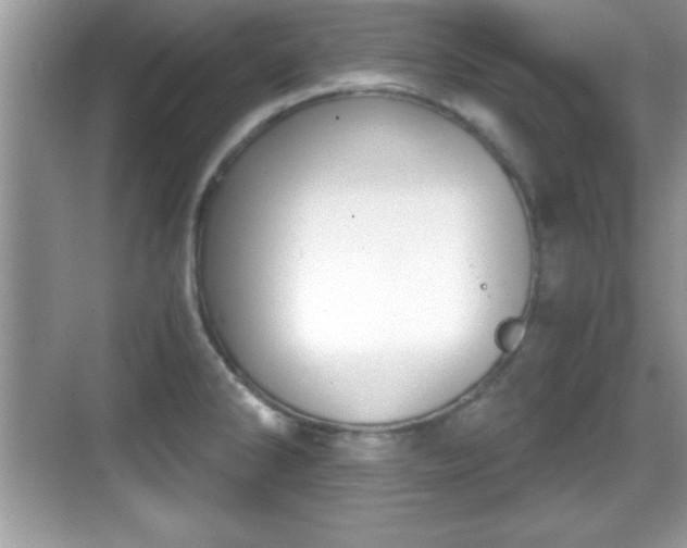 X0000068851286200605121359