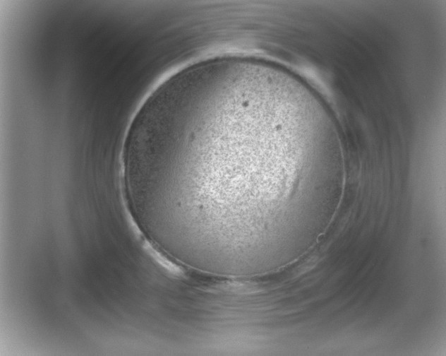 X0000068851287200605121359