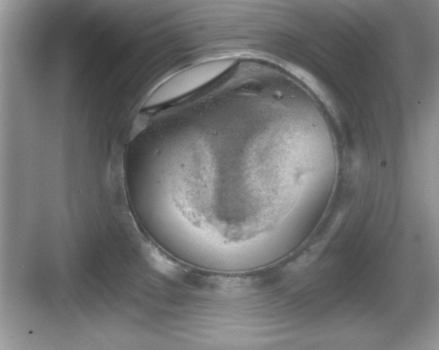 X0000068851289200605121359