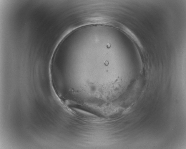 X0000068851291200605121359