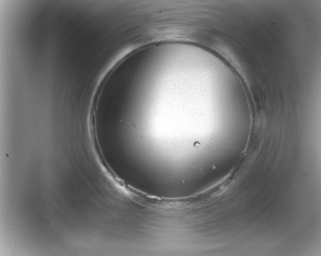 X0000068851293200605121359