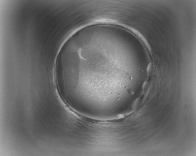 X0000068851295200605121359