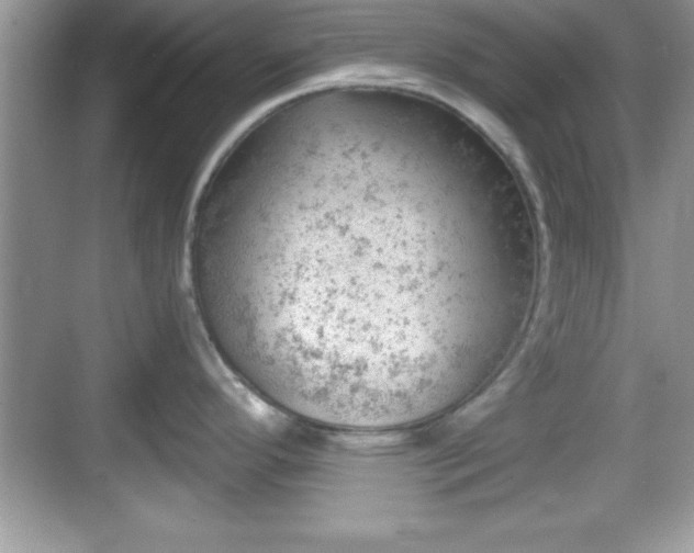 X0000068851296200605121359