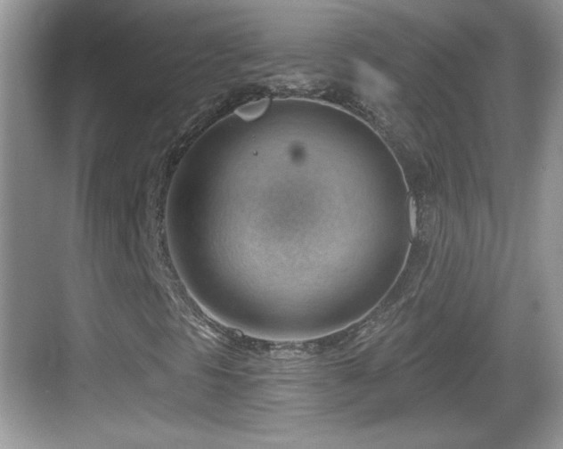 X0000068851297200605121359