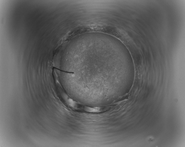 X0000068851298200605121359