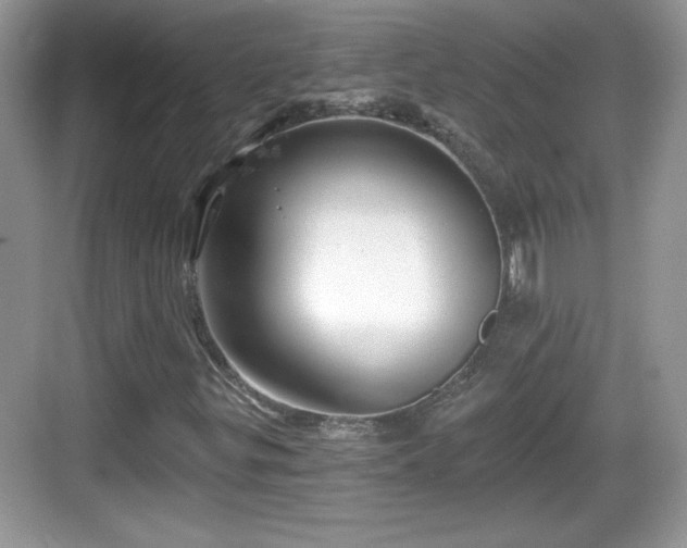 X0000068851299200605121359