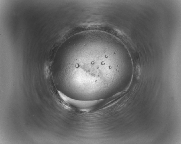 X0000068851300200605121359