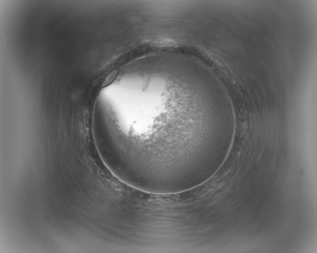 X0000068851301200605121359