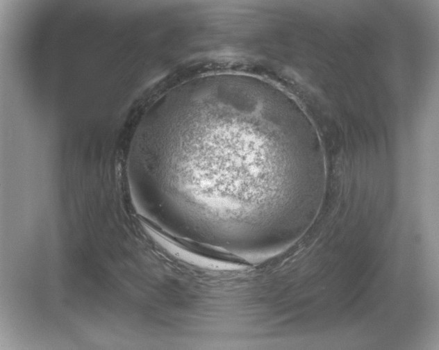 X0000068851302200605121359