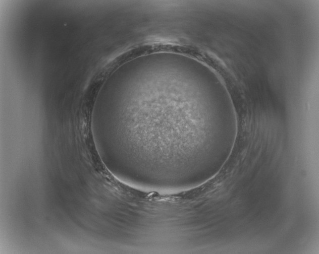 X0000068851303200605121359